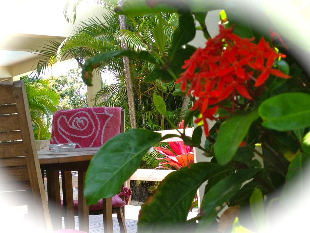 La Rose Du Sud Hotel Saint-Joseph Exterior foto